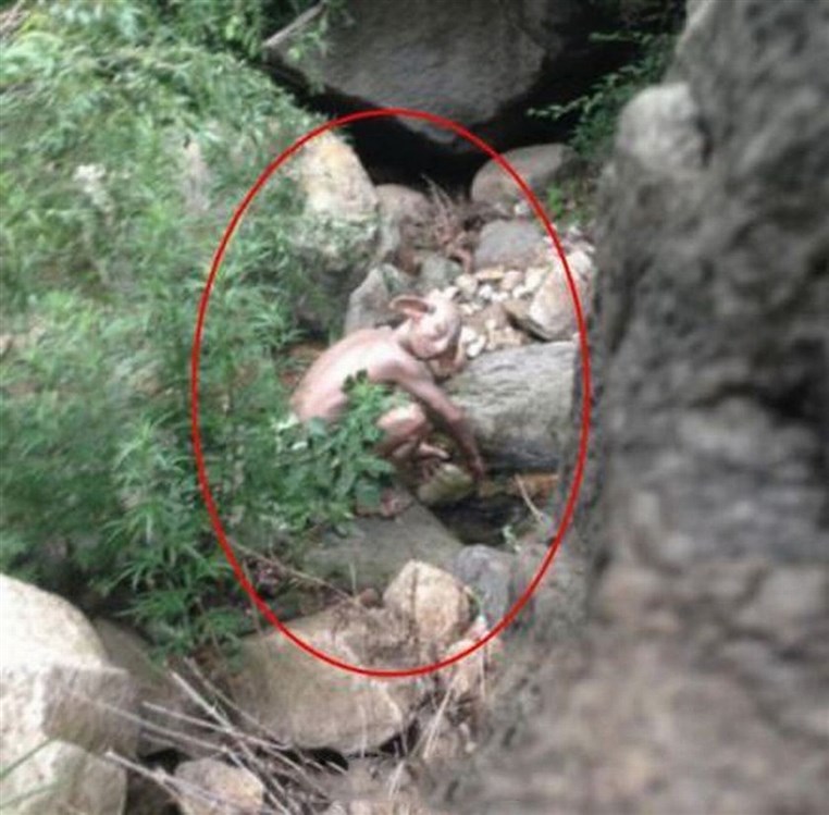 Mystery MONSTER spotted near Great Wall of China 